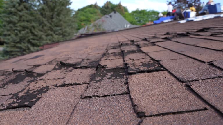 Best Rubber Roofing (EPDM, TPO)  in Bermuda Dunes, CA